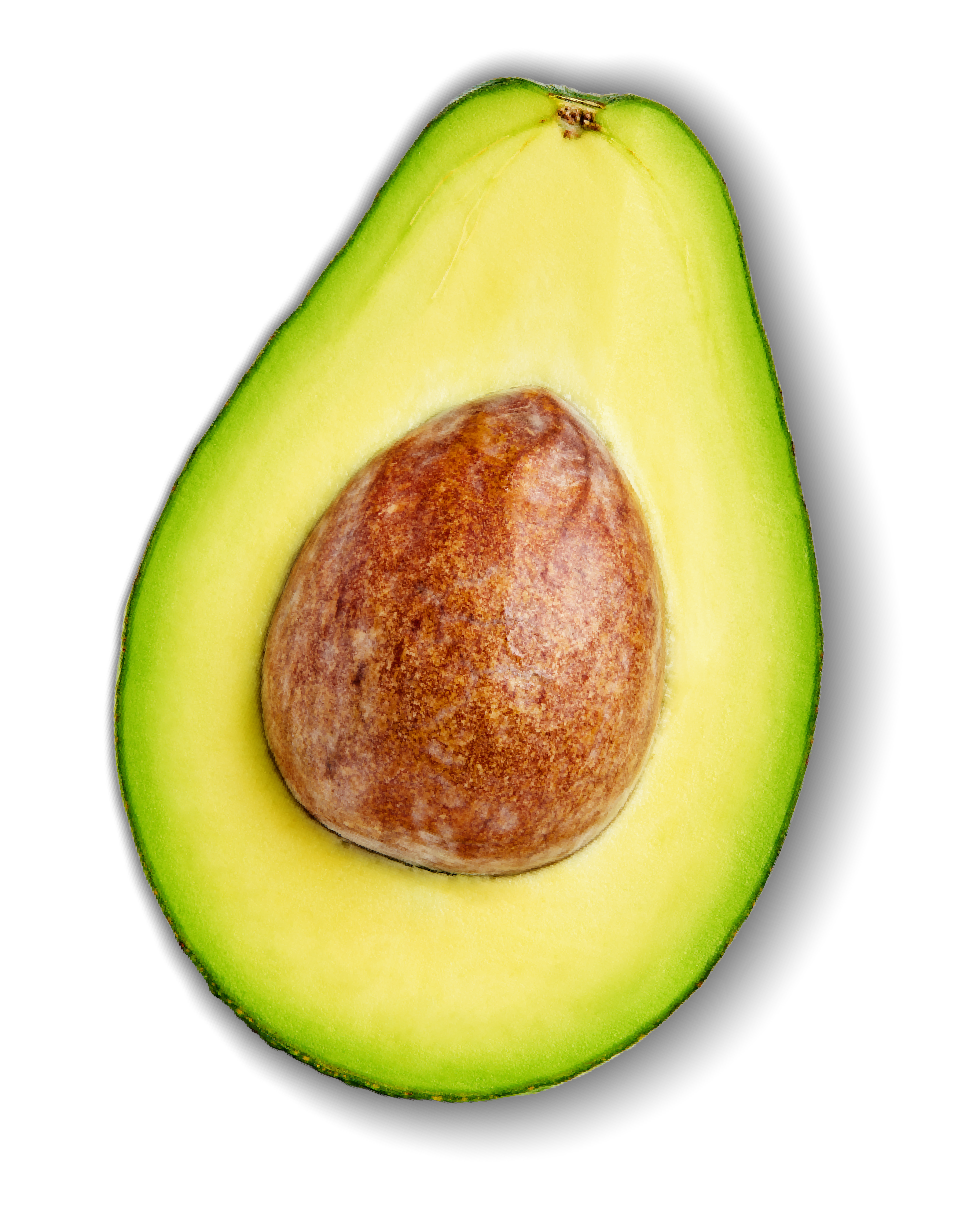 Fresh half avocado